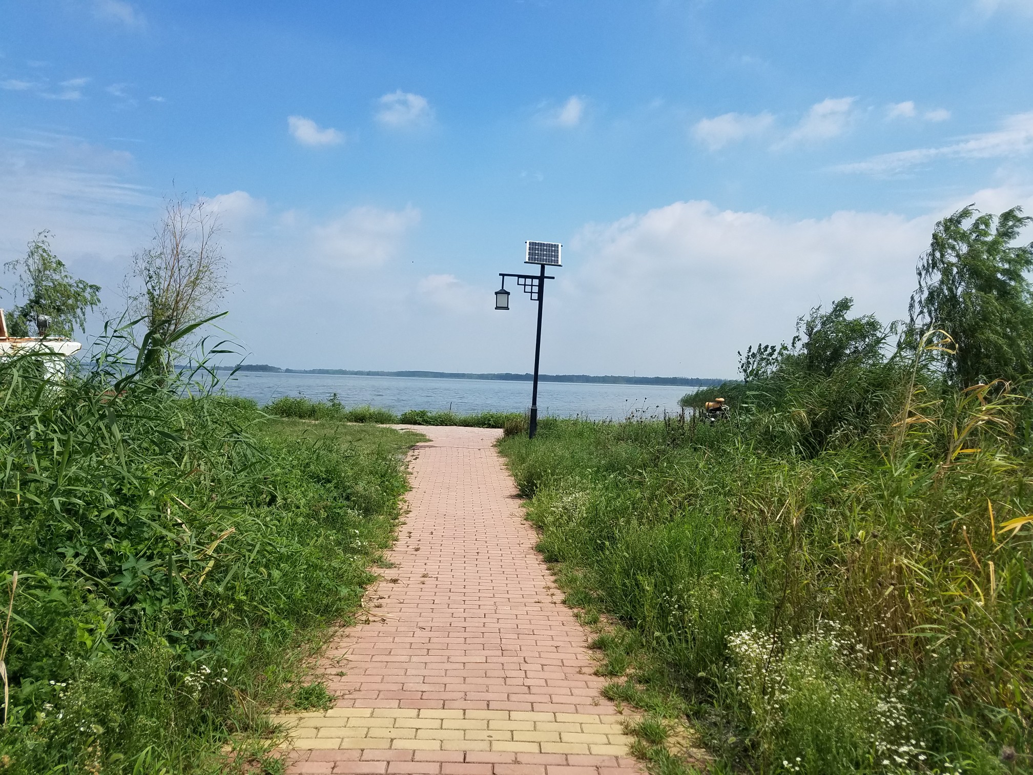 五河县沱湖风景区 