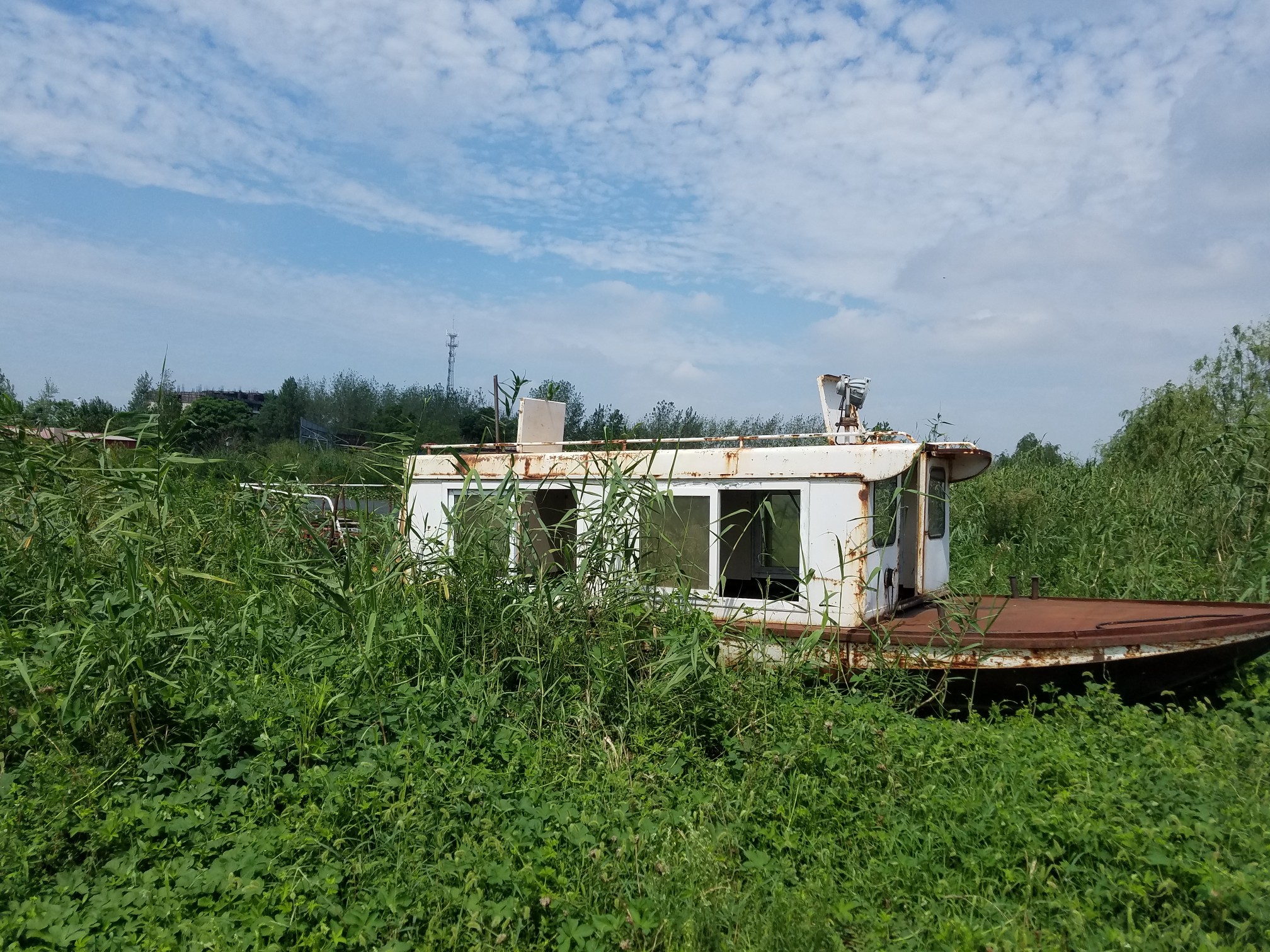 五河县沱湖风景区 