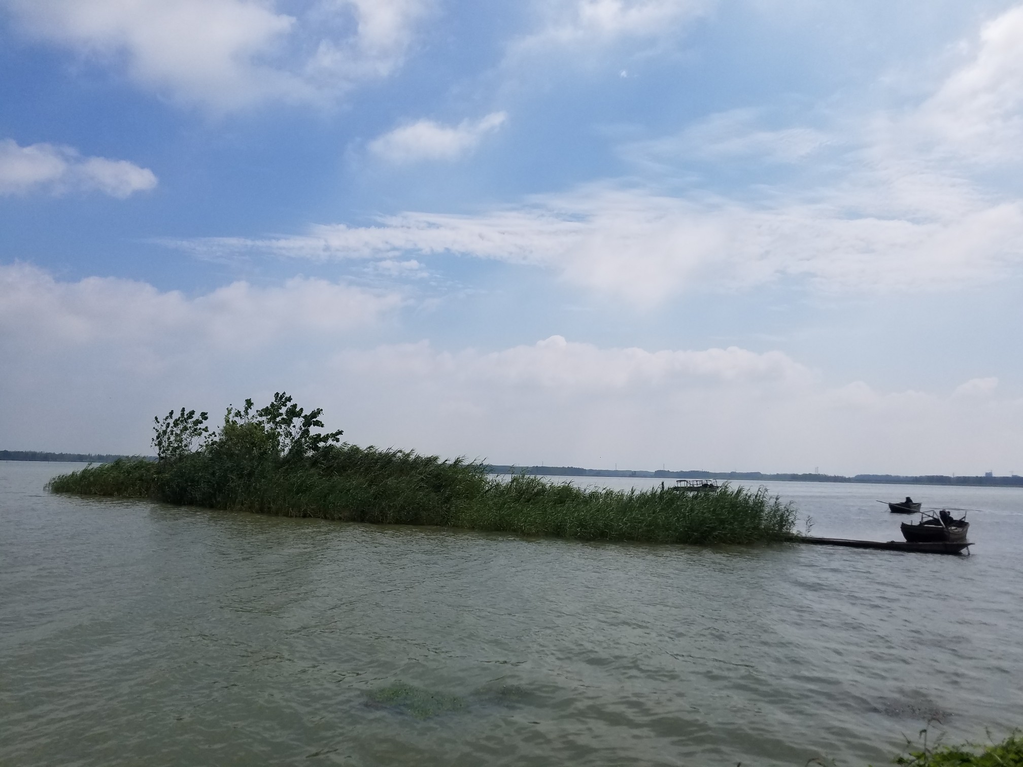 沱湖湿地风景区图片